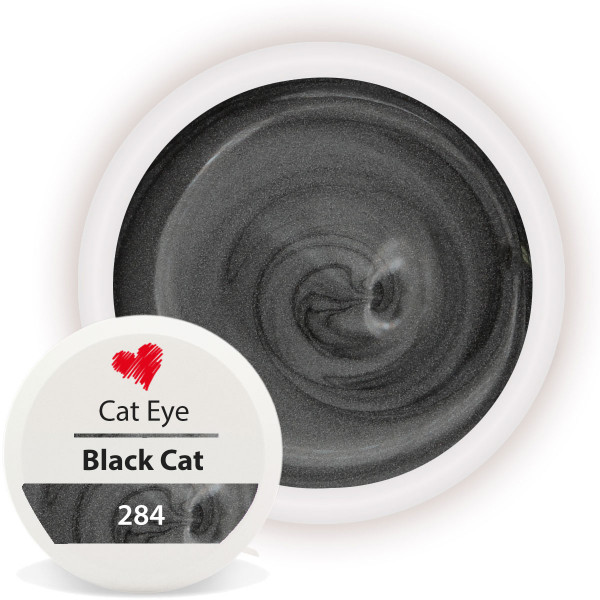 Cat Eye Gel Black Cat Nailart