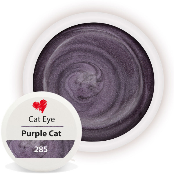 Cat Eye Gel Purple Cat Nailart